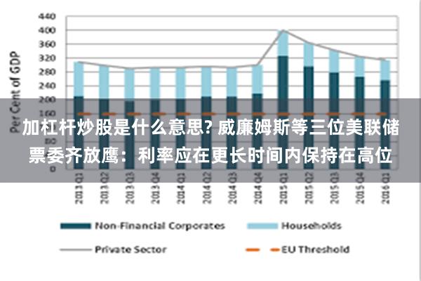 加杠杆炒股是什么意思? 威廉姆斯等三位美联储票委齐放鹰：利率应在更长时间内保持在高位