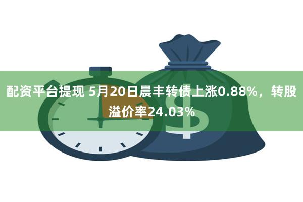 配资平台提现 5月20日晨丰转债上涨0.88%，转股溢价率24.03%