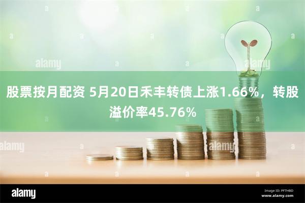 股票按月配资 5月20日禾丰转债上涨1.66%，转股溢价率45.76%