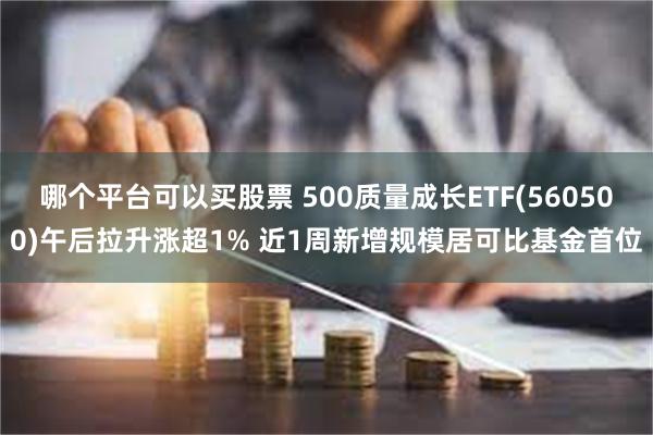 哪个平台可以买股票 500质量成长ETF(560500)午后拉升涨超1% 近1周新增规模居可比基金首位