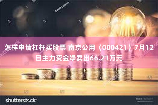 怎样申请杠杆买股票 南京公用（000421）7月12日主力资金净卖出66.21万元