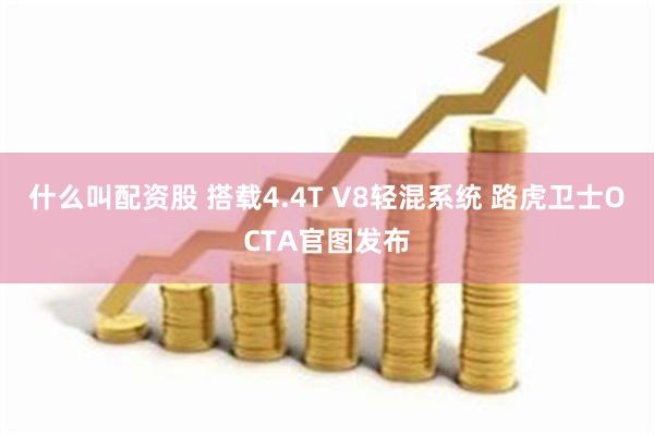 什么叫配资股 搭载4.4T V8轻混系统 路虎卫士OCTA官图发布