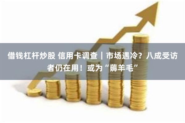 借钱杠杆炒股 信用卡调查｜市场遇冷？八成受访者仍在用！或为“薅羊毛”