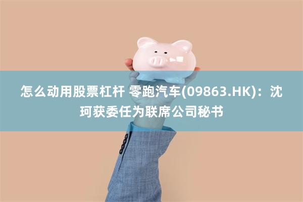 怎么动用股票杠杆 零跑汽车(09863.HK)：沈珂获委任为联席公司秘书