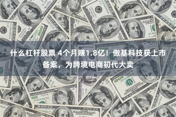 什么杠杆股票 4个月赚1.8亿！傲基科技获上市备案，为跨境电商初代大卖