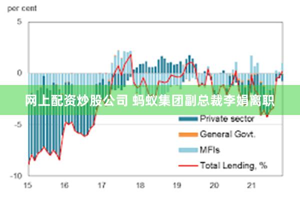 网上配资炒股公司 蚂蚁集团副总裁李娟离职