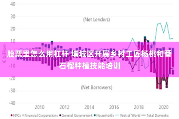 股票里怎么用杠杆 增城区开展乡村工匠杨桃和番石榴种植技能培训