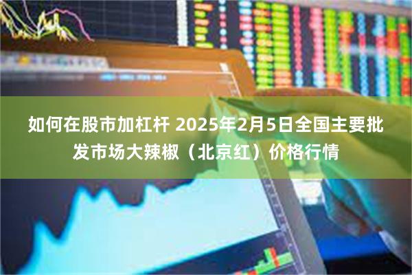 如何在股市加杠杆 2025年2月5日全国主要批发市场大辣椒（北京红）价格行情