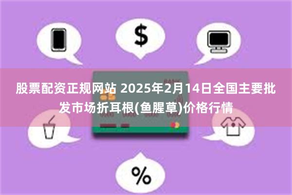 股票配资正规网站 2025年2月14日全国主要批发市场折耳根(鱼腥草)价格行情