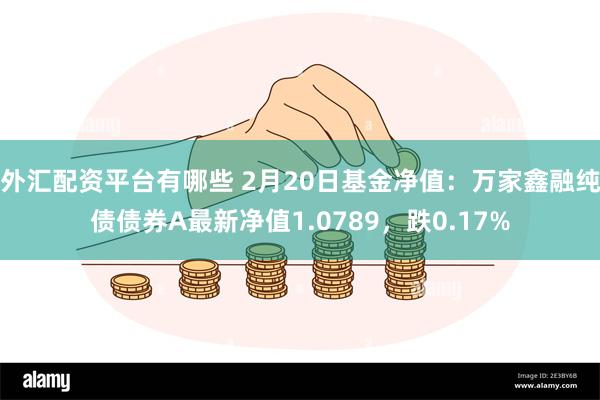 外汇配资平台有哪些 2月20日基金净值：万家鑫融纯债债券A最新净值1.0789，跌0.17%