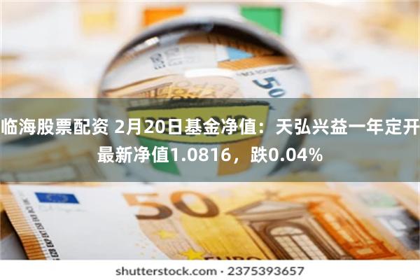 临海股票配资 2月20日基金净值：天弘兴益一年定开最新净值1.0816，跌0.04%