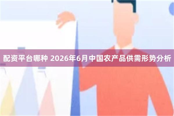 配资平台哪种 2026年6月中国农产品供需形势分析