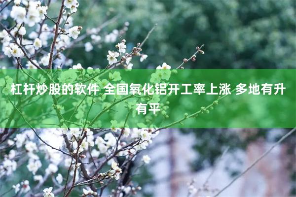 杠杆炒股的软件 全国氧化铝开工率上涨 多地有升有平
